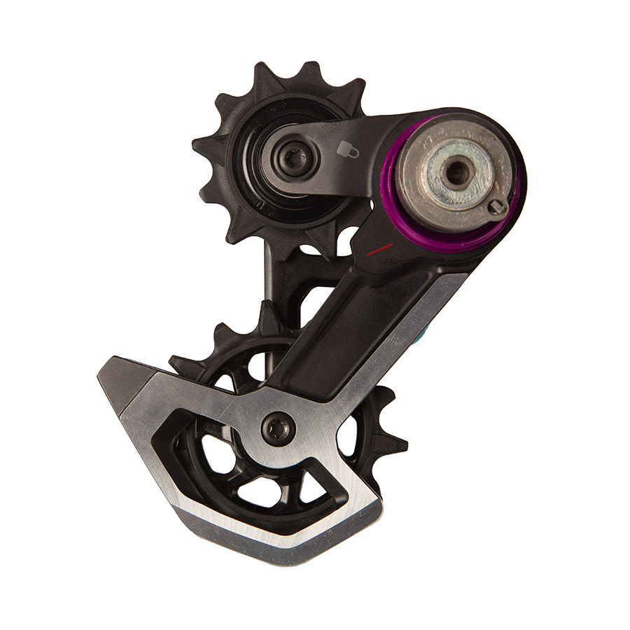 SRAM Cage Assembly for XX Downhill